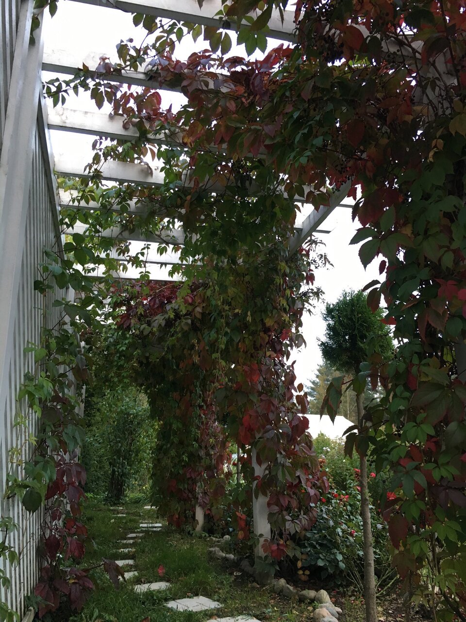 Гостиница Иваново Подворье Токсово-100