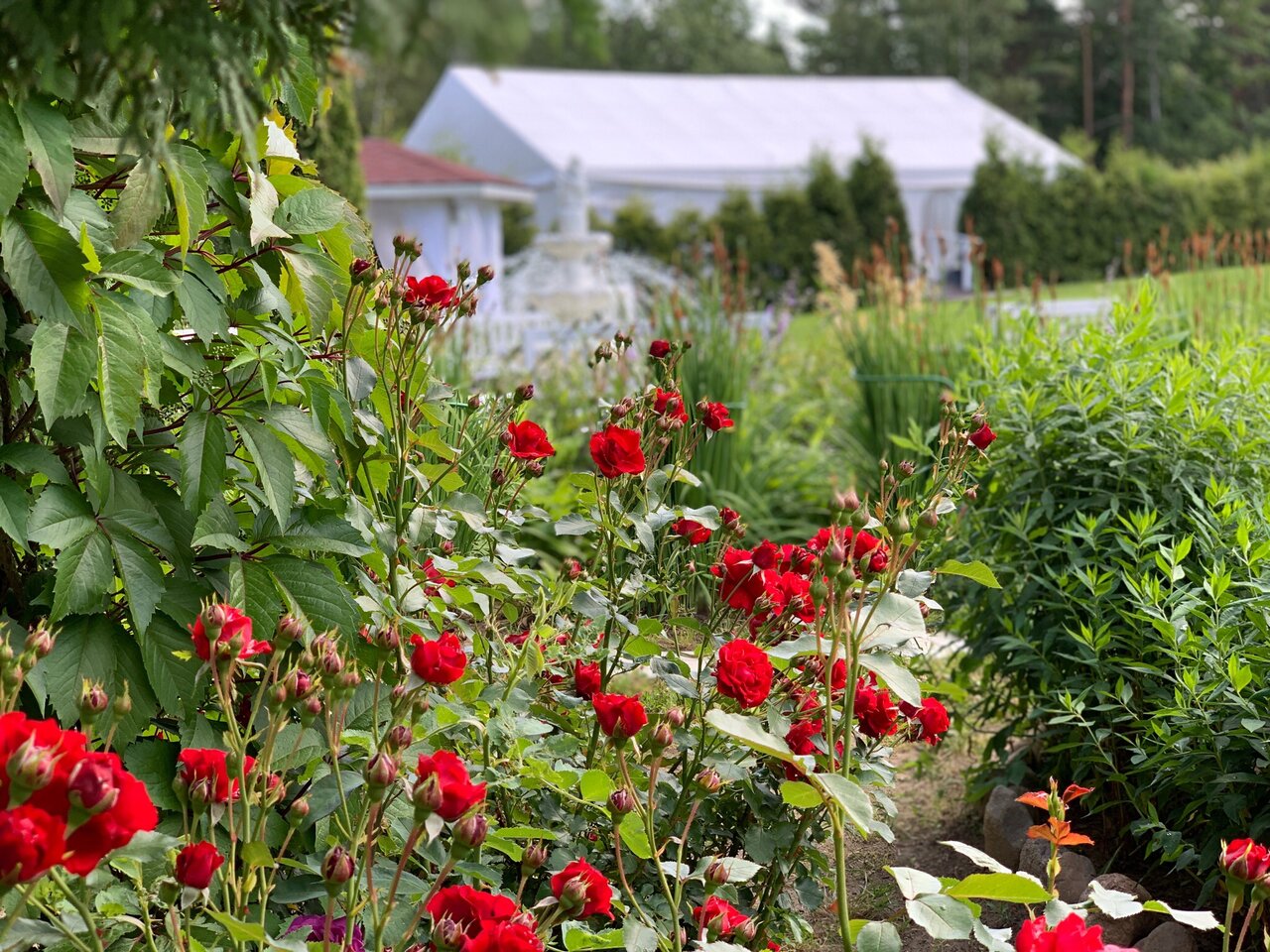 Гостиница Иваново Подворье Токсово-197
