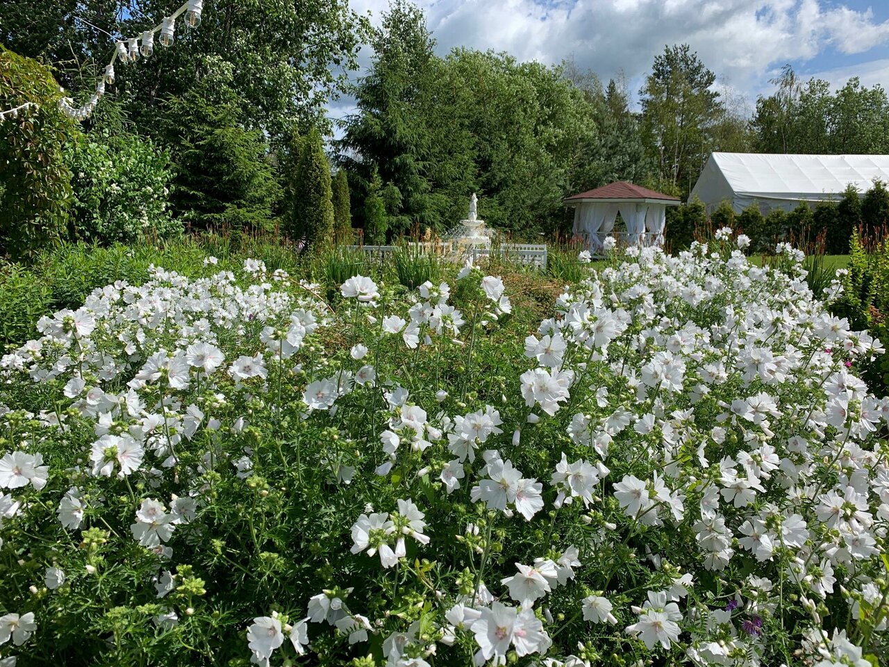 Гостиница Иваново Подворье Токсово-109