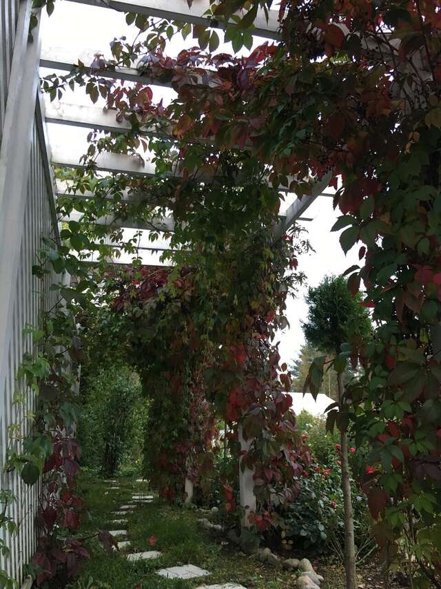 Гостиница Иваново Подворье Токсово-99