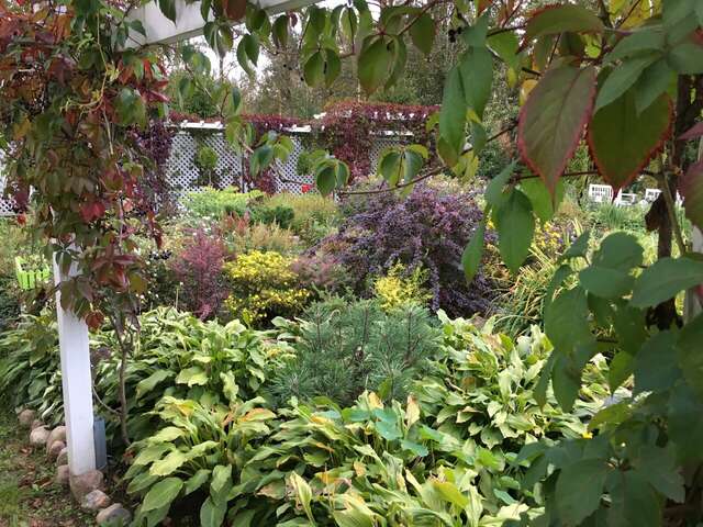 Гостиница Иваново Подворье Токсово-96