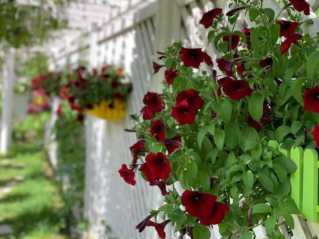 Гостиница Иваново Подворье Токсово-209