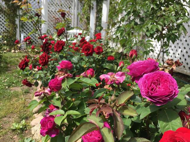 Гостиница Иваново Подворье Токсово-88