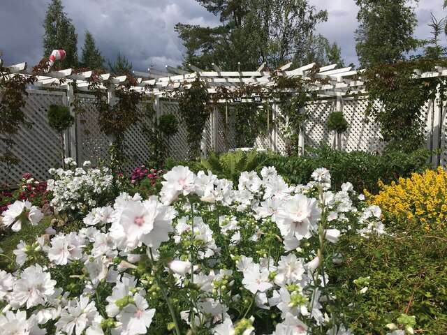 Гостиница Иваново Подворье Токсово-45