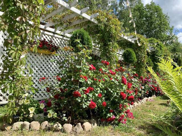 Гостиница Иваново Подворье Токсово-140